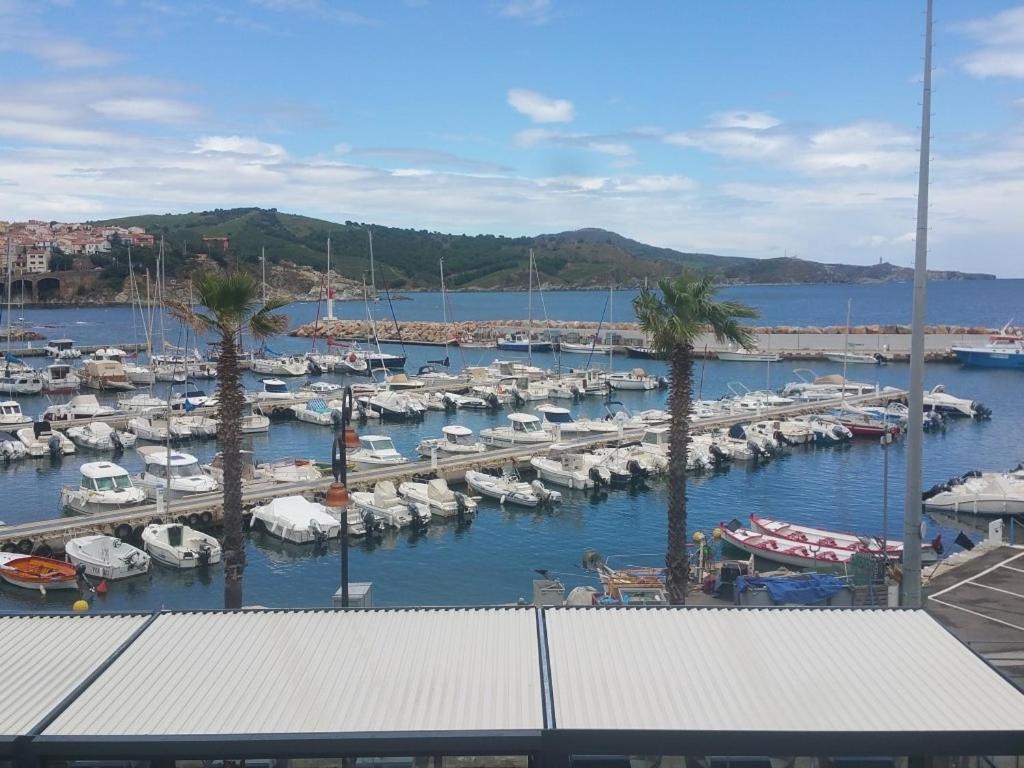 Residence La Grande Voile Banyuls-sur-Mer Dış mekan fotoğraf